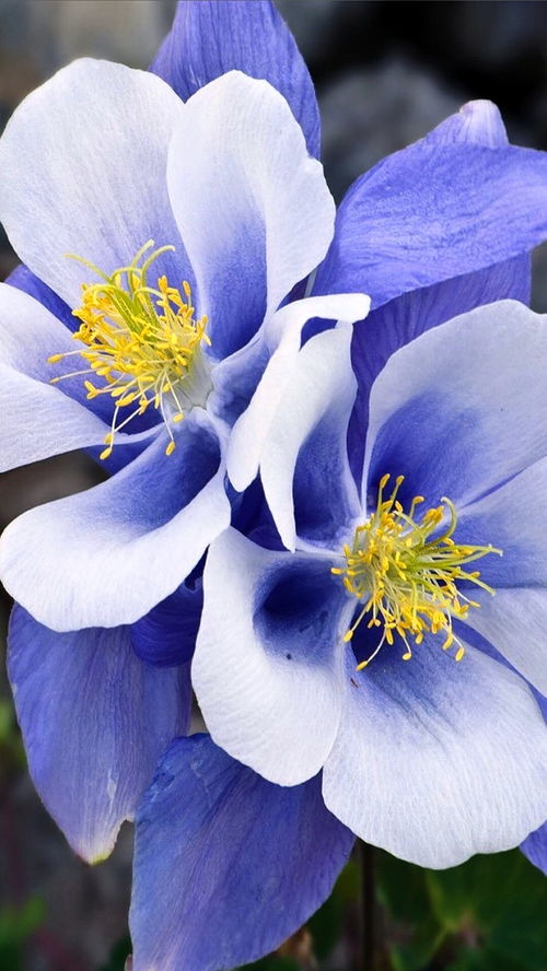 深刻走心的朋友圈說說,精辟有內(nèi)涵,值得細細品讀