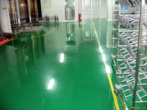 亳州潔凈防塵無溶劑環氧樹脂自流平地坪